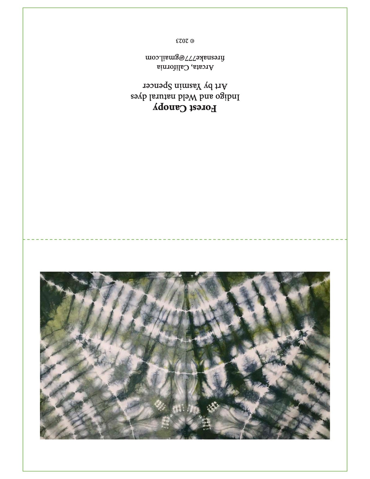 Forest Canopy - FREE Shipping on Art Prints and Cards