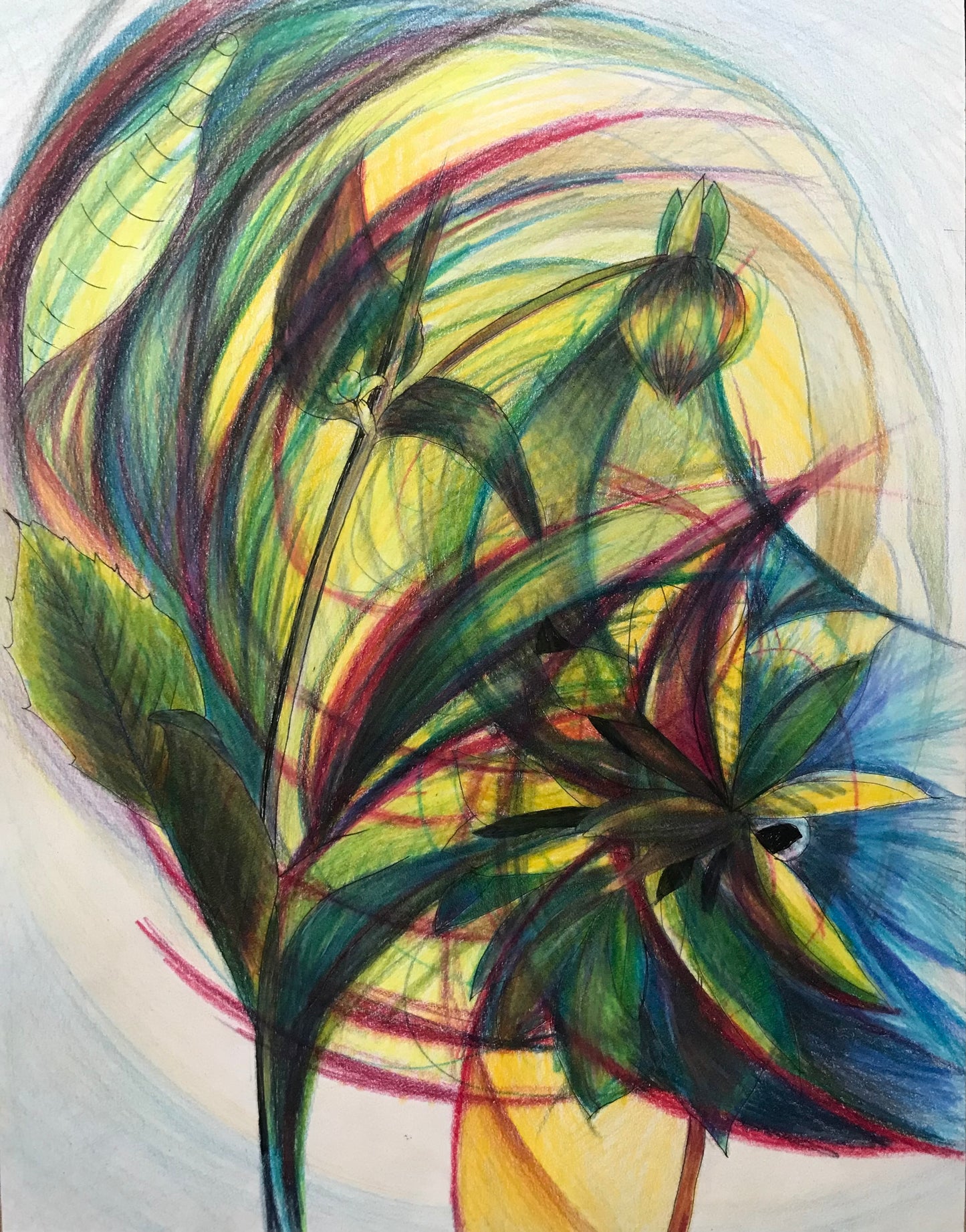 Dahlia - FREE Shipping on Art Prints and Cards