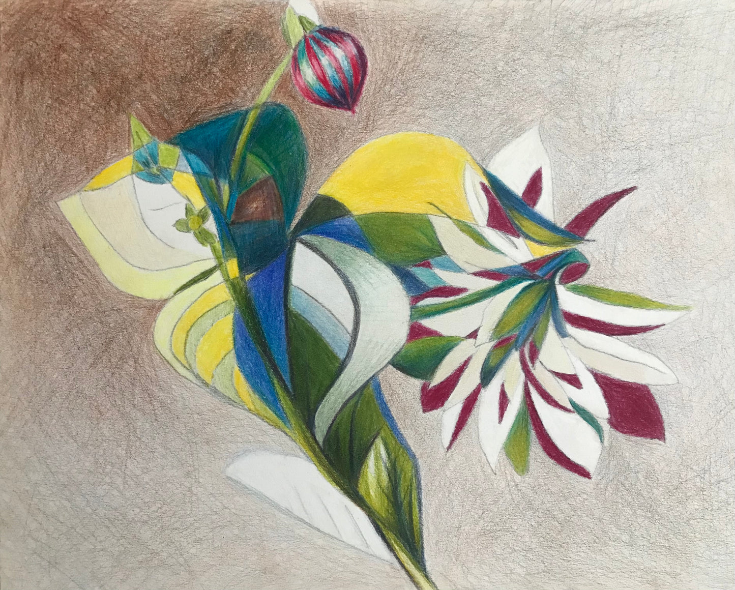 Dahlia and Trillium - FREE Shipping on Art Prints and Cards