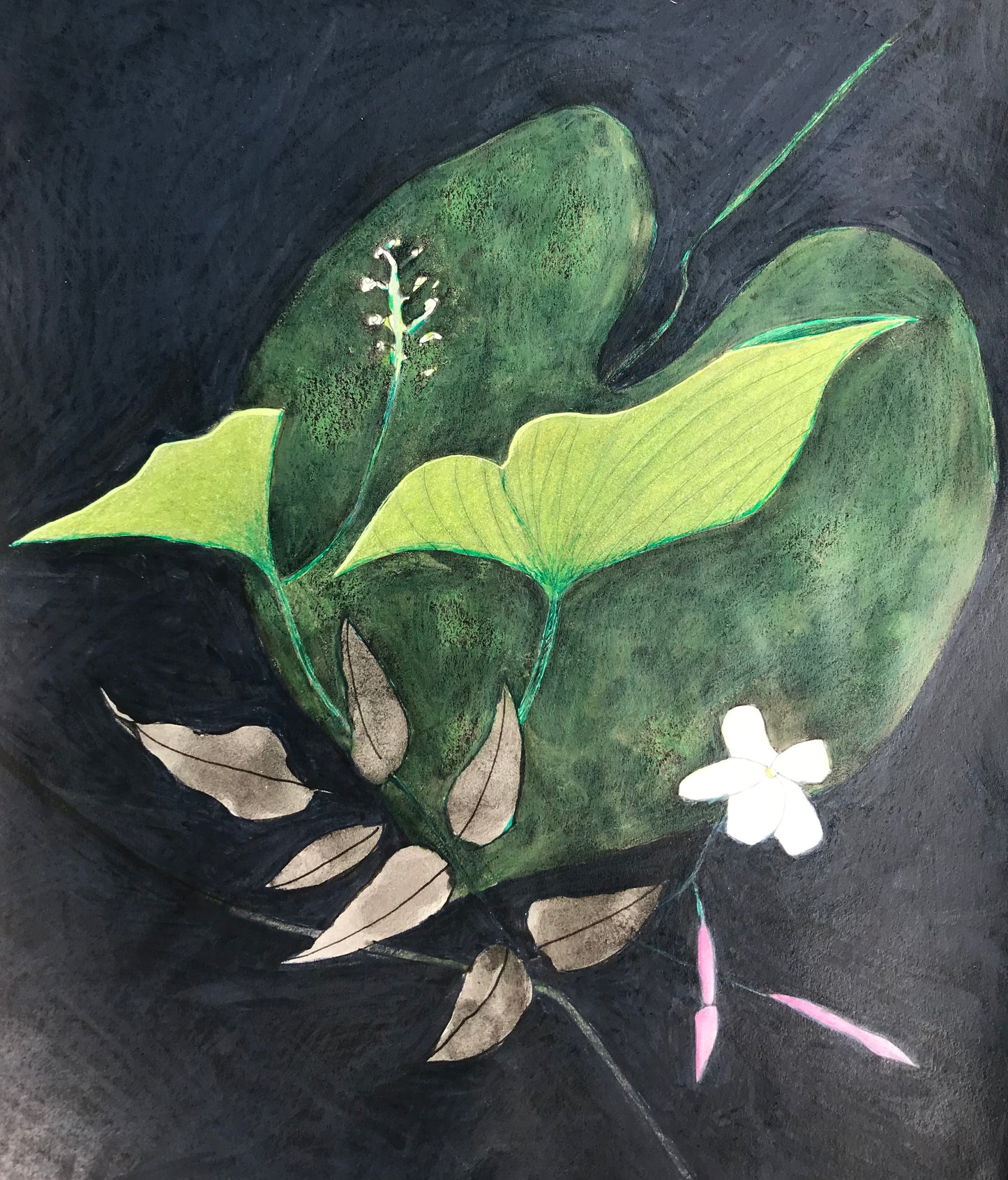 Jasmine and Wild Ginger - FREE Shipping on Art Prints and Cards