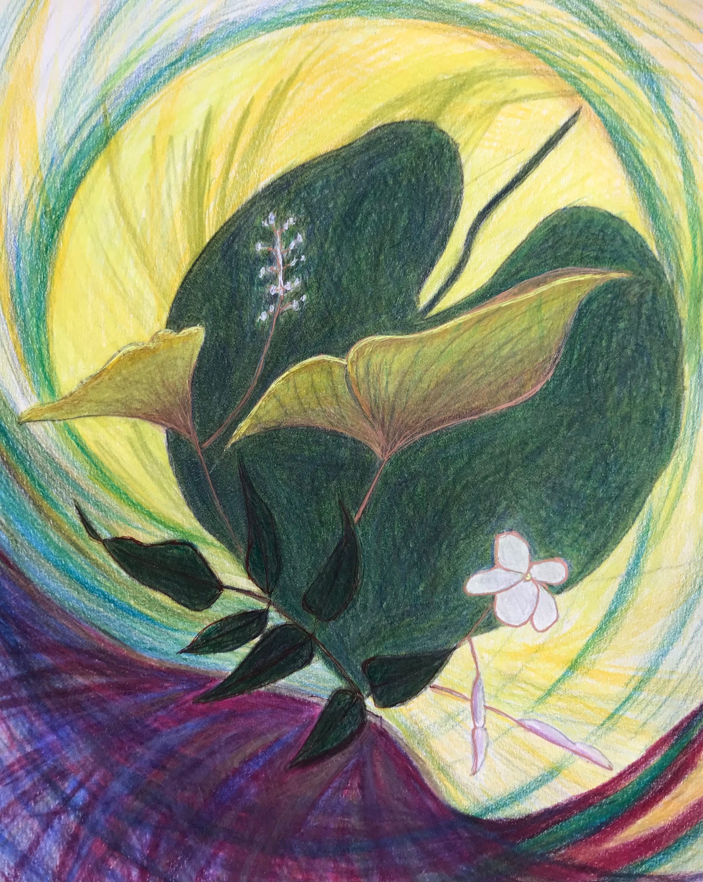 Jasmine and Wild Ginger in Daylight - FREE Shipping on Art Prints and Cards